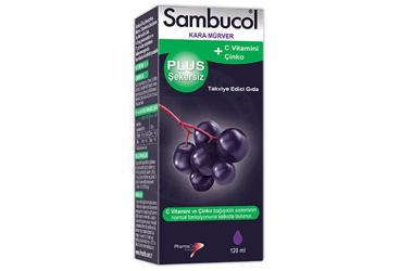 SAMBUCOL PLUS SEKERSIZ C VITAMINI VE CINKO ICEREN TAKVIYE EDICI GIDA 120 ml