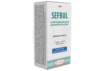 Sefbul 1 g IM/IV Enjeksiyonluk Çözelti Hazırlamak İçin Toz ve Çözücü, 1 ADET