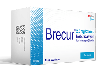 BRECUR 2.5MG/2.5ML NEBÜLIZASYON IÇIN INHALASYON ÇÖZELTISI, 20 ADET