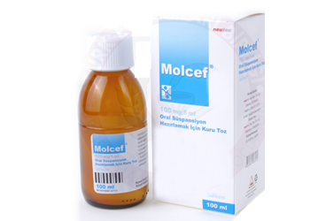 MOLCEF 100 MG/5 ML ORAL SÜSPANSİYON HAZIRLAMAK İÇİN KURU TOZ, 100 ML
