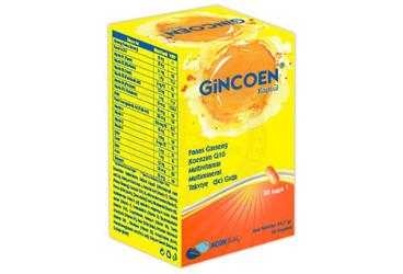 GINCOEN PANAX GINSENG, KOENZIM Q10, MULTIVITAMIN, MULTIMINERAL TAKVIYE EDICI GIDA 30 kapsül