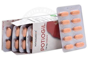 POTIOGARDEN POTIOGIL TAKVIYE EDICI GIDA TABLET 60 tablet