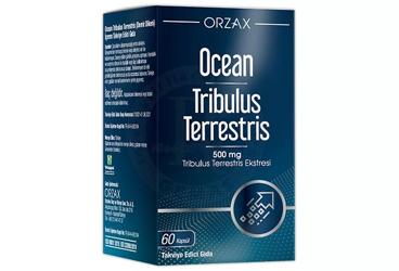 OCEAN TRIBULUS TERRESTRIS EKSTRESI ICEREN TAKVIYE EDICI GIDA 60 kapsül