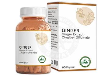 ANTI GINGER ICEREN TAKVIYE EDICI GIDA 60 kapsül