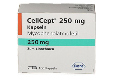 CELLCEPT 250 MG KAPSÜL, 100 ADET