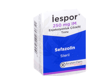 IESPOR 250 MG IM ENJEKSİYONLUK ÇÖZELTİ HAZIRLAMAK İÇİN TOZ VE ÇÖZÜCÜ