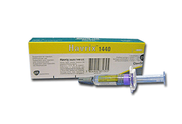 HAVRİX ERİŞKİN 1440 MCG/1 ML IM ENJEKSİYON İÇİN SÜSPANSİYON İÇEREN KULLANIMA HAZIR ENJEKTÖR