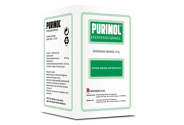 PURINOL 250 mg+615 mg/5 g EFERVESAN 140 GR