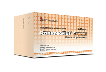 PANKREOFLAT 170/310 MG GRANÜL (22x2 g poşet)