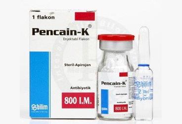 PENCAIN K-800 İ.Ü. IM ENJEKTABL FLAKON, 1 FLAKON + 1 AMPUL