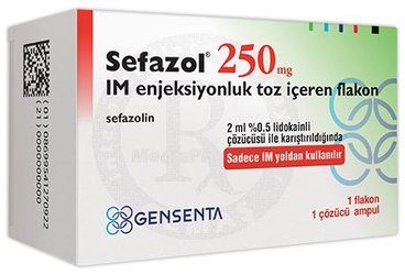 SEFAZOL 250 MG IM ENJEKSİYONLUK TOZ VE ÇÖZÜCÜ, 1 ADET