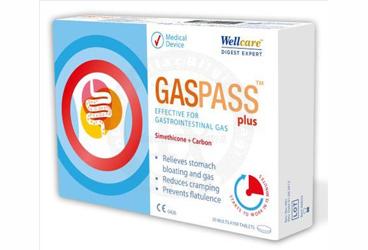 GASPASS PLUS TABLET 20 tablet