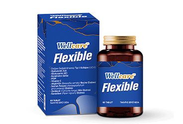WELLCARE FLEXIBLE TAKVIYE EDICI GIDA 60 tablet