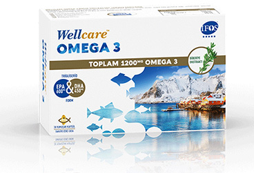 WELLCARE OMEGA 3 KAPSUL 30 kapsül