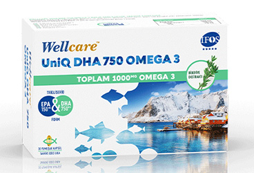 WELLCARE OMEGA 3 UNIQ DHA 750 KAPSUL 30 kapsül
