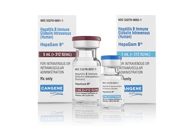 HEPAGAM B 312 IU/1 ML IM/IV ENJEKSİYONLUK/İNFÜZYONLUK ÇÖZELTİ