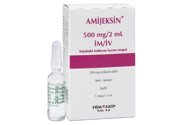 AMIJEKSIN 500 MG/2 ML IM/IV ENJEKSİYONLUK ÇÖZELTİ, 1 ADET