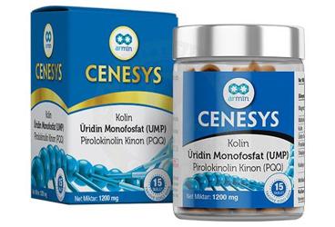 CENESYS KOLIN, UMP, PQQ ICEREN TAKVIYE EDICI GIDA 15 tablet