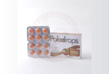POLEDROPS ZENCEFIL & TARCIN PASTIL 24 pastil
